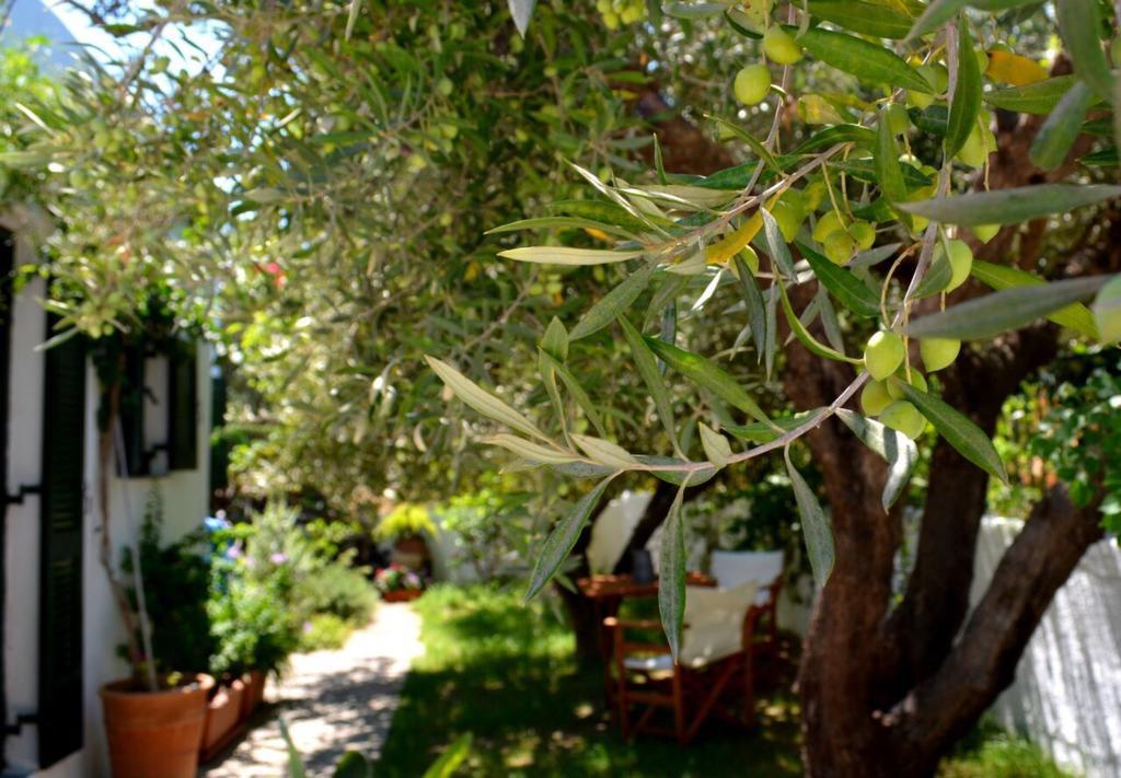 Regina Villa Kalo Chorio  Exterior foto