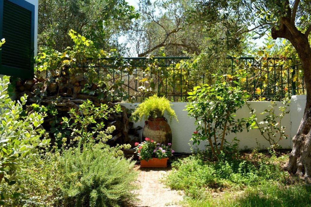 Regina Villa Kalo Chorio  Exterior foto